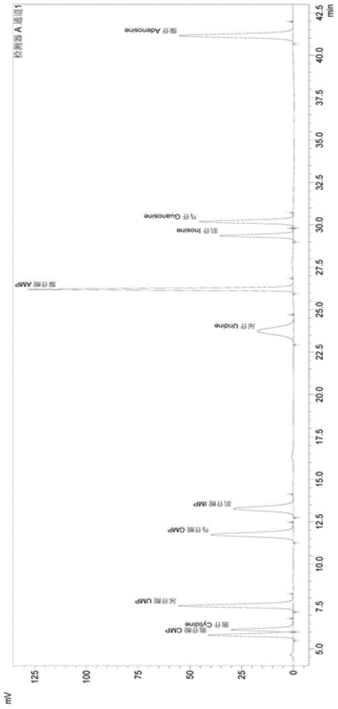 Method for producing aerobic type single-cell protein through autolysis process