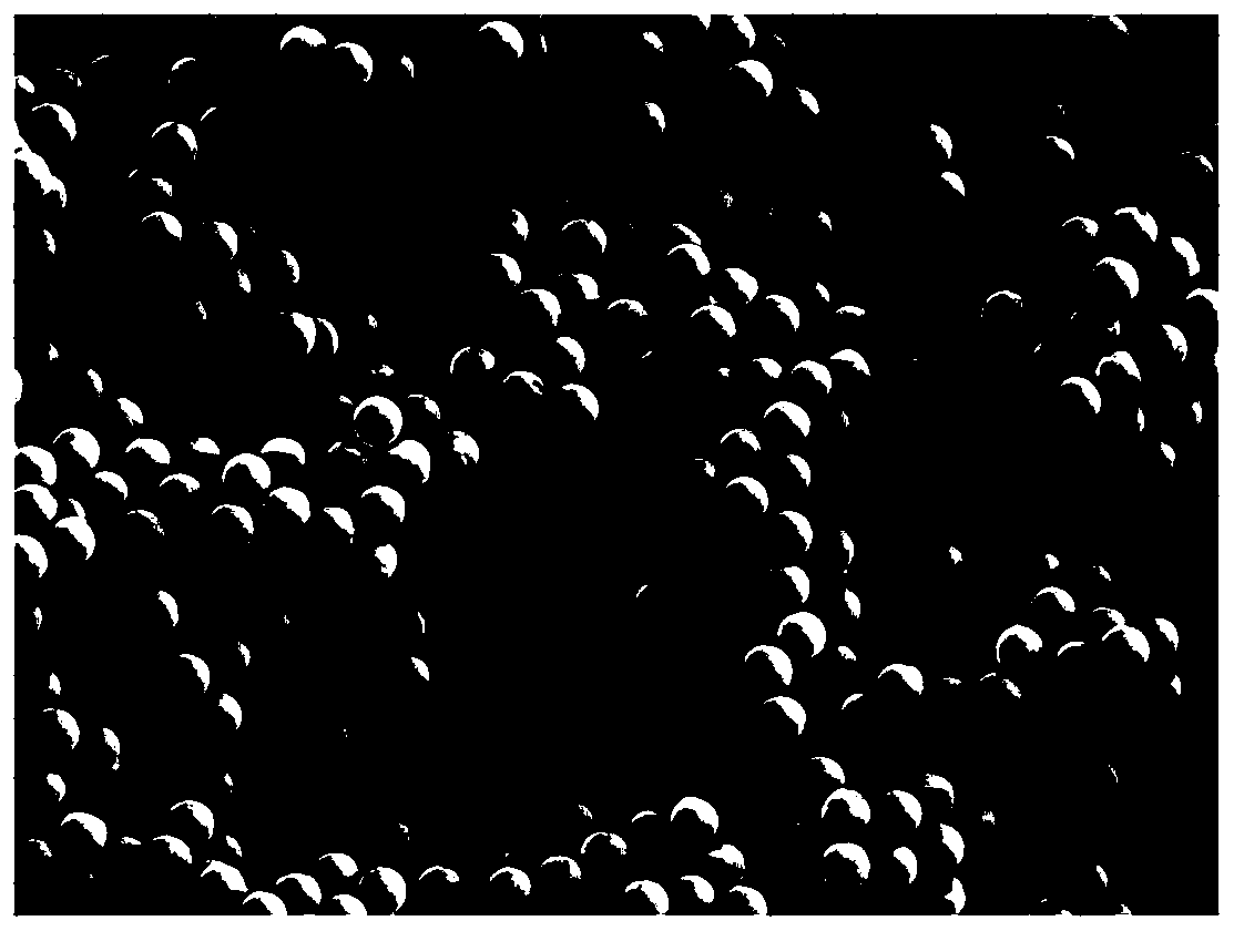 Monodisperse polymer microsphere for dry spraying machine