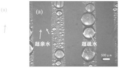 Preparation method of efficient condensation hydrophilic and hydrophobic thin-film coating with multi-scale structure