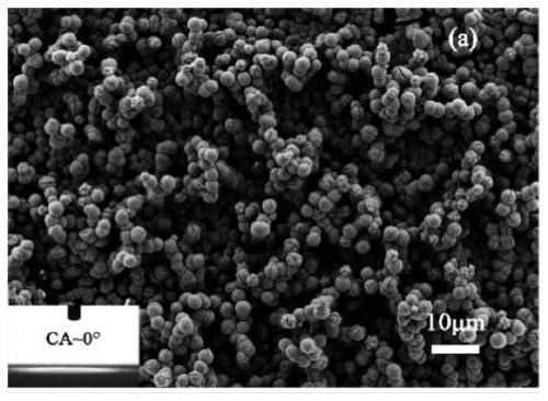 Preparation method of efficient condensation hydrophilic and hydrophobic thin-film coating with multi-scale structure