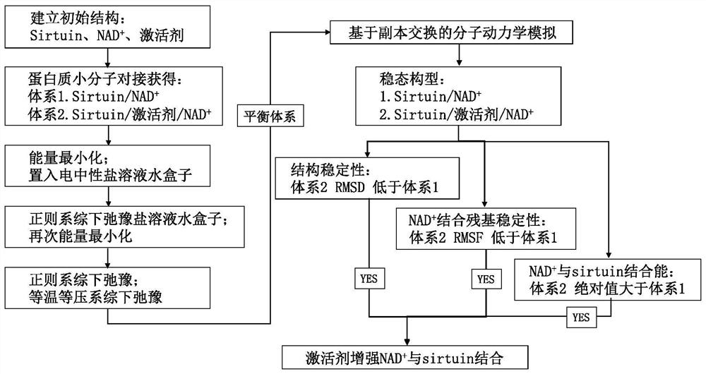 Method for predicting/verifying influence of polyphenol compound activator on combination effect of Sirtuin and nicotinamide adenine