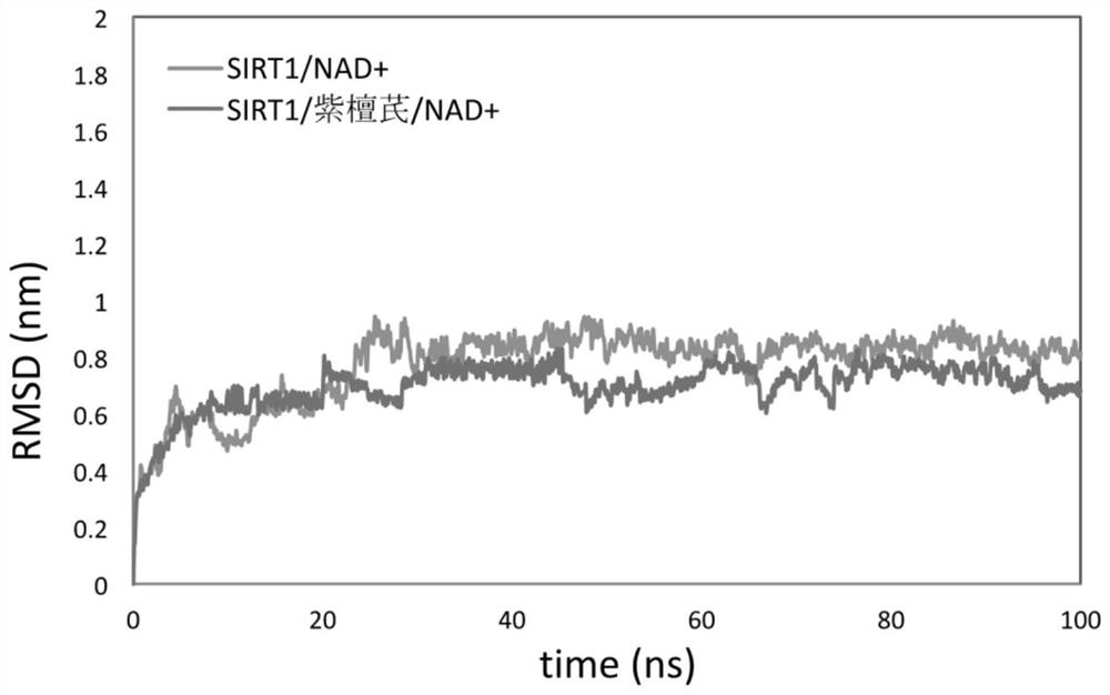 Method for predicting/verifying influence of polyphenol compound activator on combination effect of Sirtuin and nicotinamide adenine