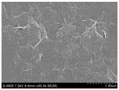 Preparation method of composite membrane containing oxidized graphene