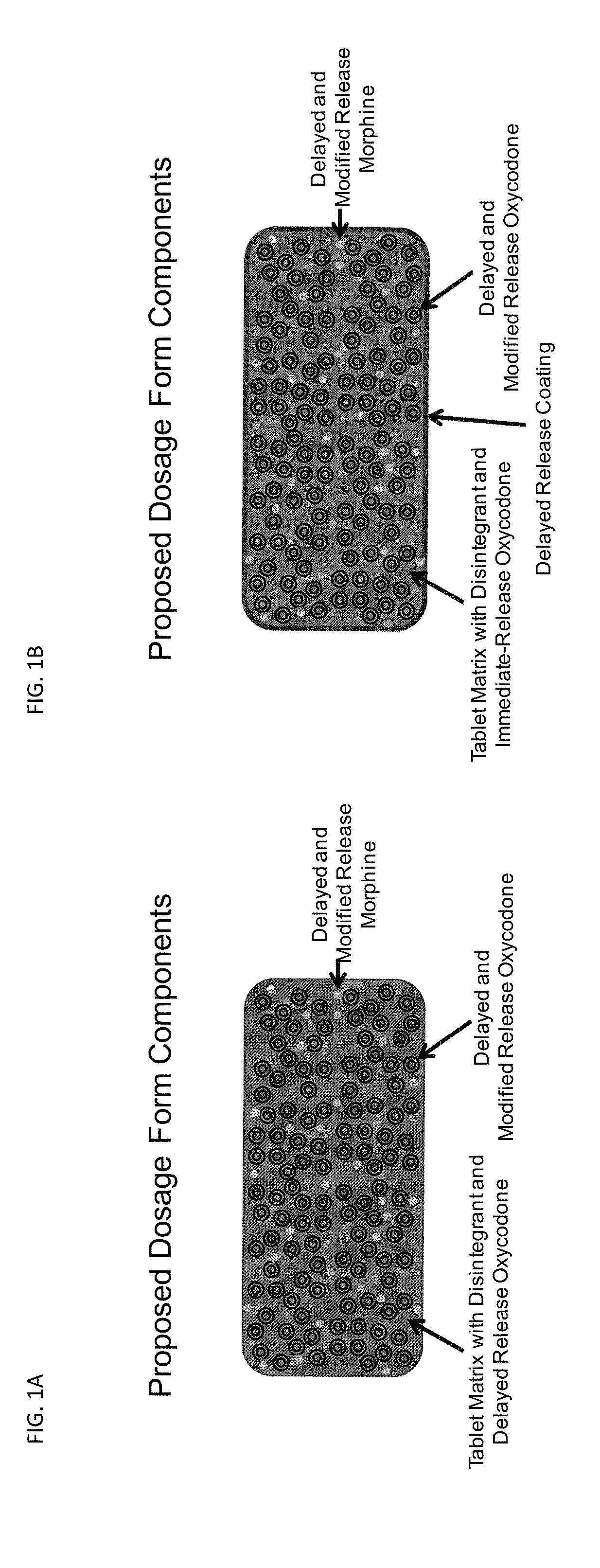 Controlled Release Formulations of Opioids