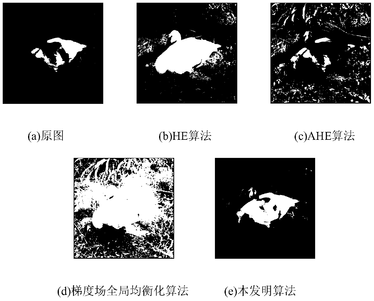 Image gradient field double-interval equalization algorithm based on histogram probability correction