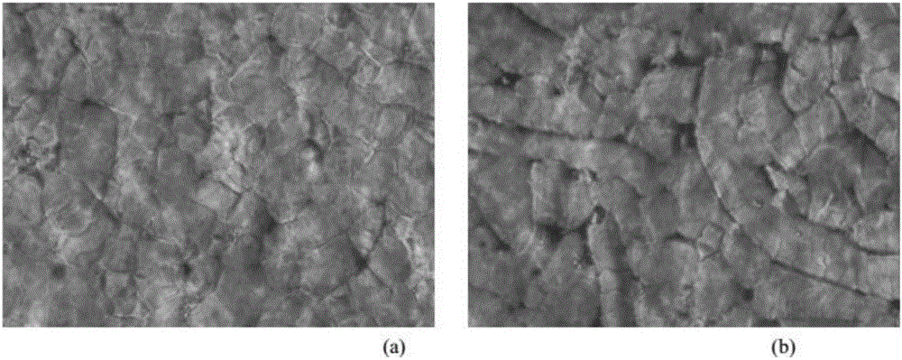 High-flexibility waste-wool-base biological plastic and preparation method thereof