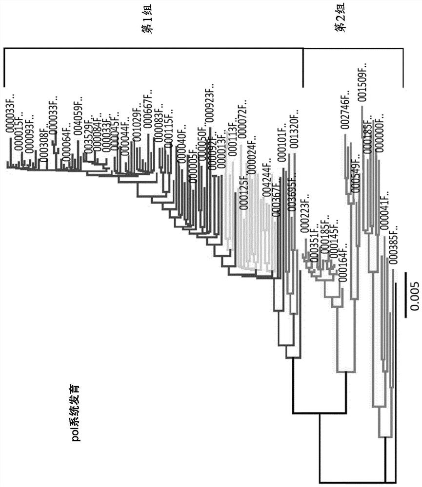 Characterization and inactivation of endogenous retroviruses in chinese hamster ovary cells