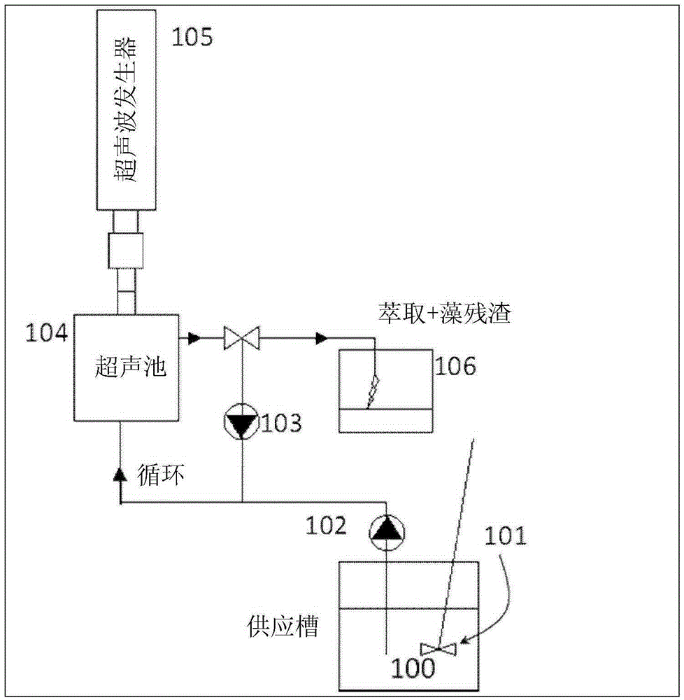 Antioxidant extract from brown macroalgae and method for obtaining same