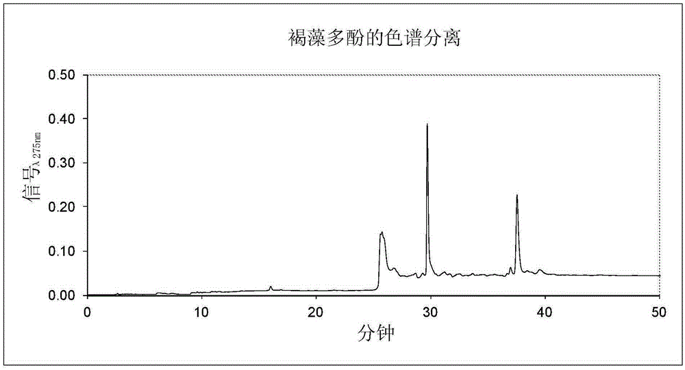 Antioxidant extract from brown macroalgae and method for obtaining same