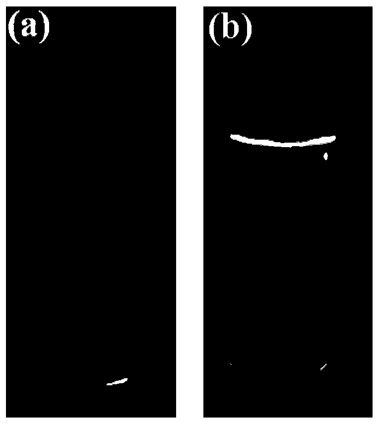 Method for rapidly preparing carbon-oxygen co-doped boron nitride room-temperature phosphorescent material through microwave heating