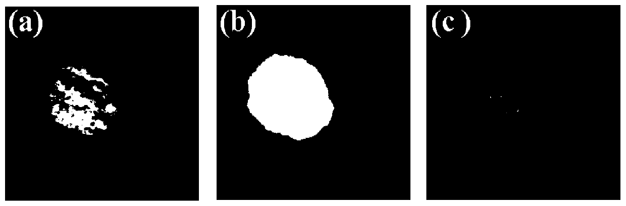 Method for rapidly preparing carbon-oxygen co-doped boron nitride room-temperature phosphorescent material through microwave heating