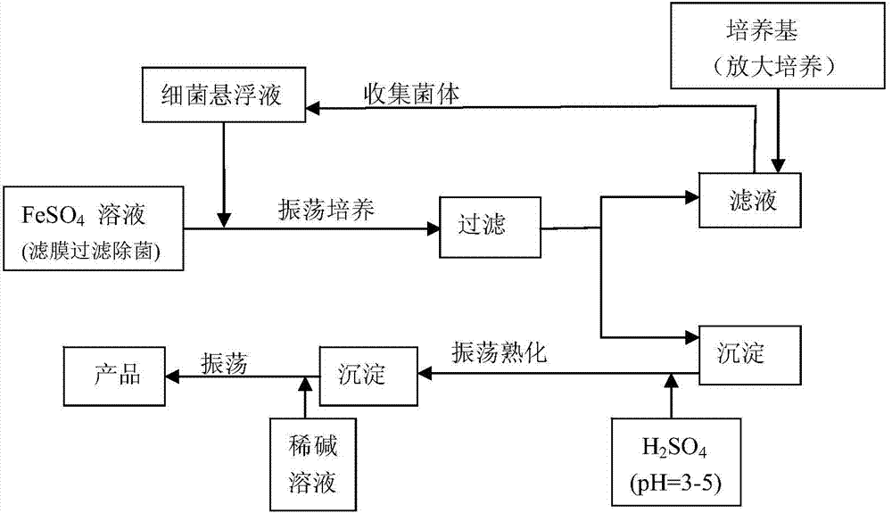 Arsenic-contaminated soil repairing and retaining agent based on microbe catalytic synthesis, and preparation and application thereof