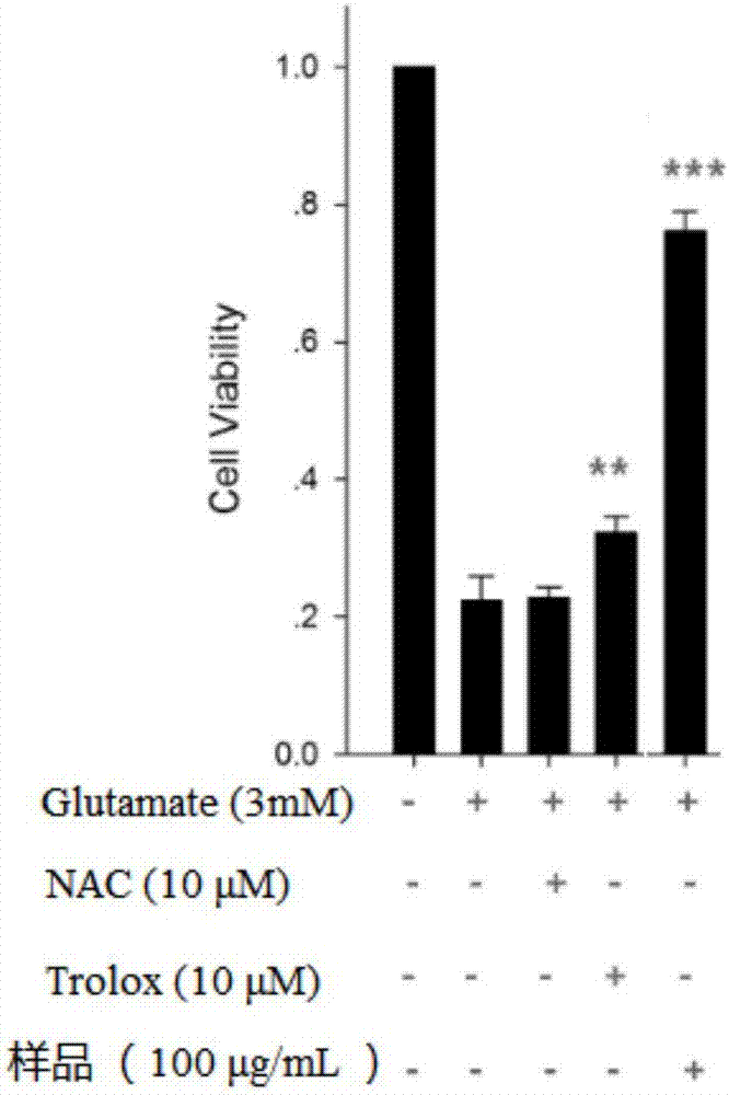 Application of Asystasia gangetica ssp. Micrantha in preparation of drug for preventing and/or treating neurodegenerative disease and drug