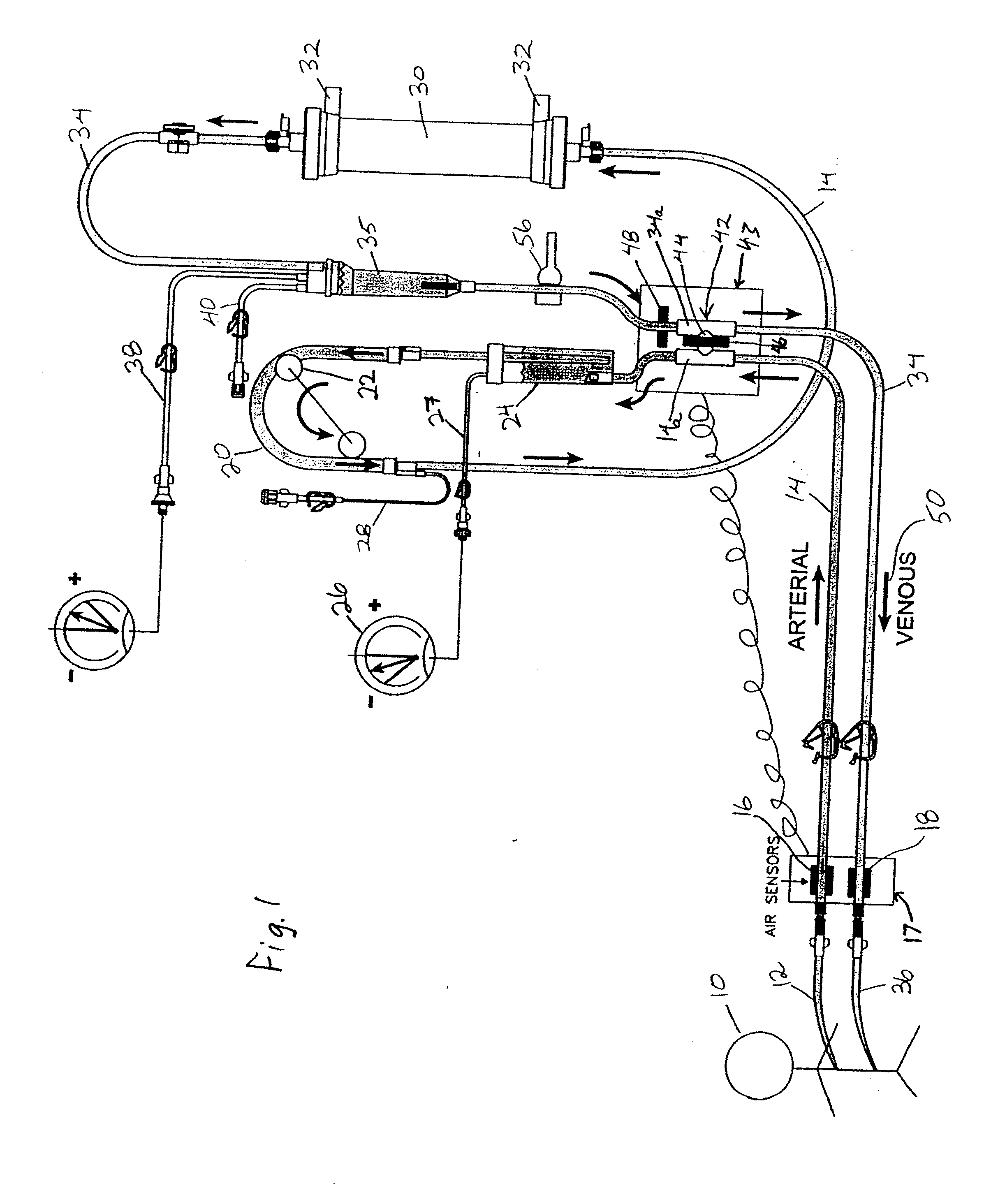 Blood leak monitoring method and apparatus