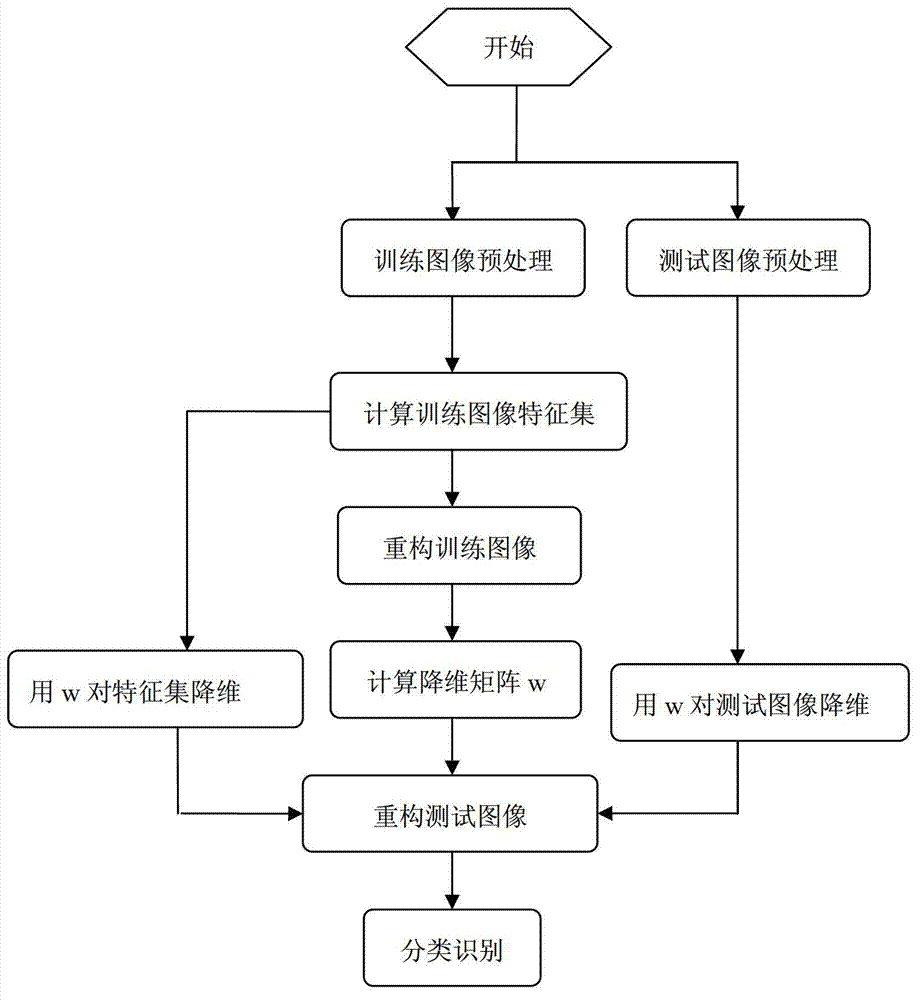 Face identification method based on JSM (joint sparsity model) and sparsity preserving projection