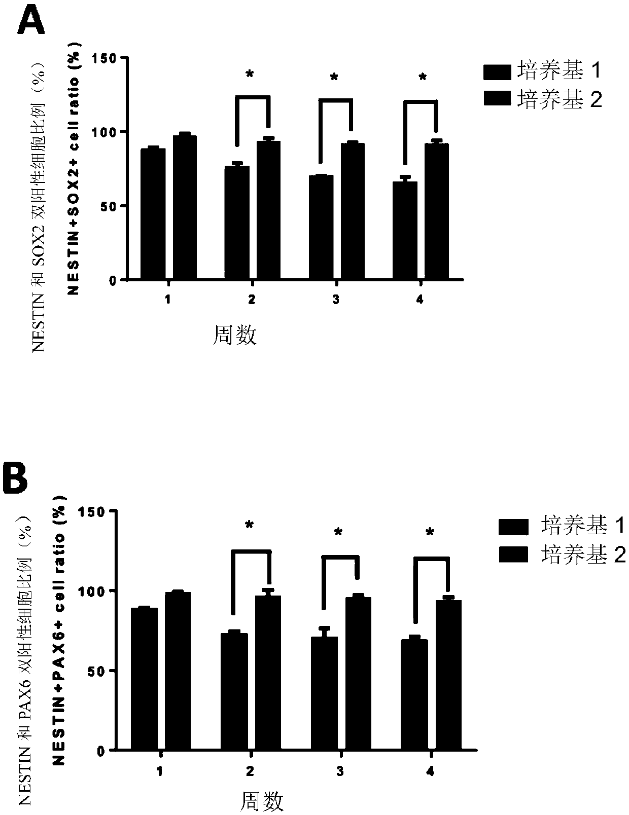 Serum-free culture medium for maintaining in-vitro culture of neural stem cells