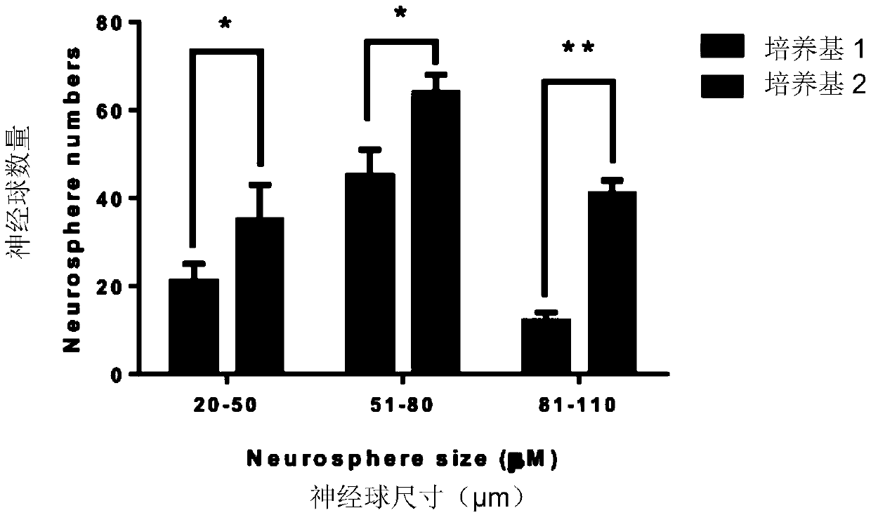 Serum-free culture medium for maintaining in-vitro culture of neural stem cells