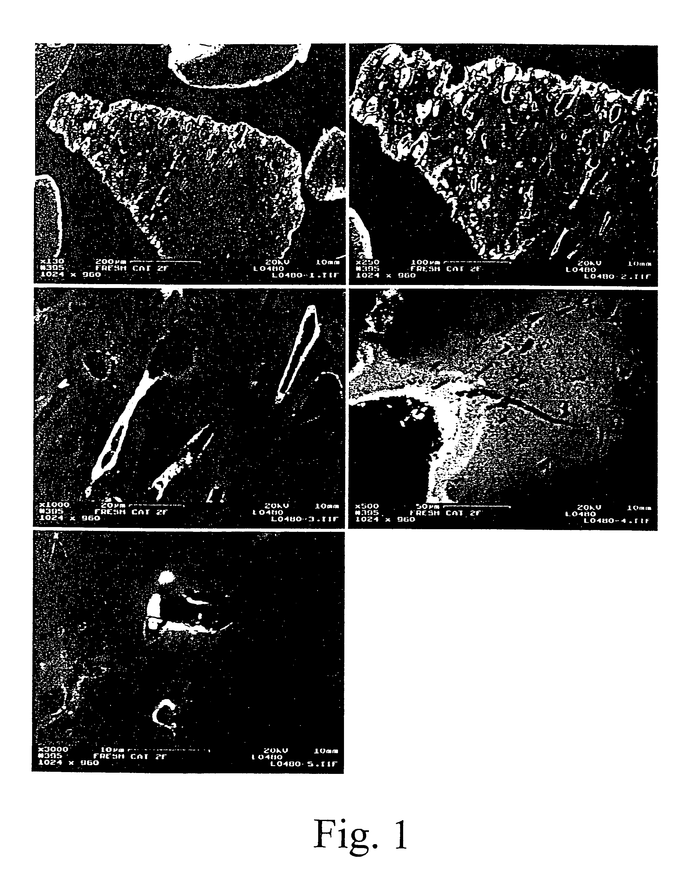 Textured catalysts and methods of making textured catalysts