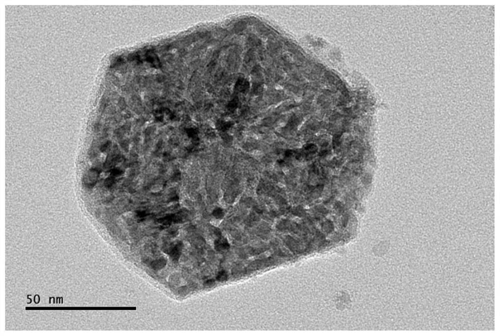 Carbon cloth-supported nickel-cobalt-oxygen nanosheet composite material and its preparation method and electrode application