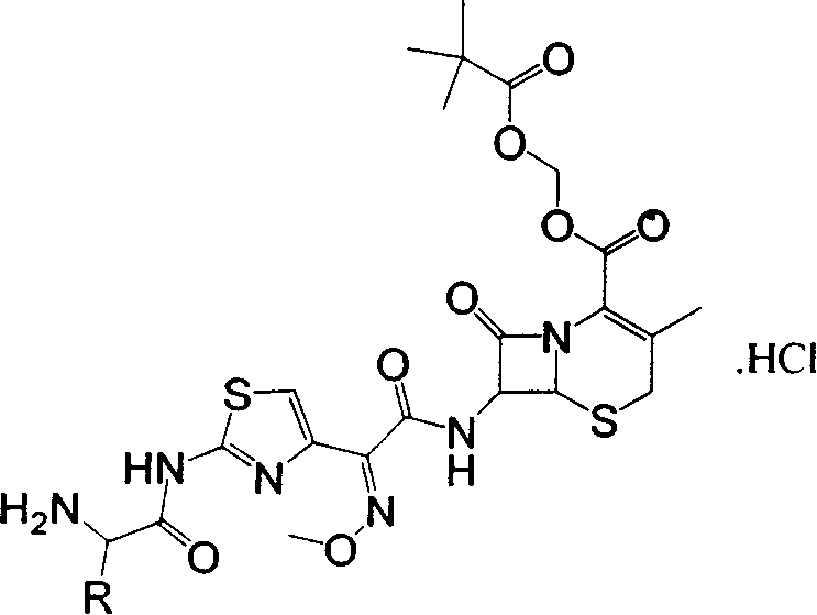 Compound of dual functional esterified prodrug of Cefetamet, and oral preparation