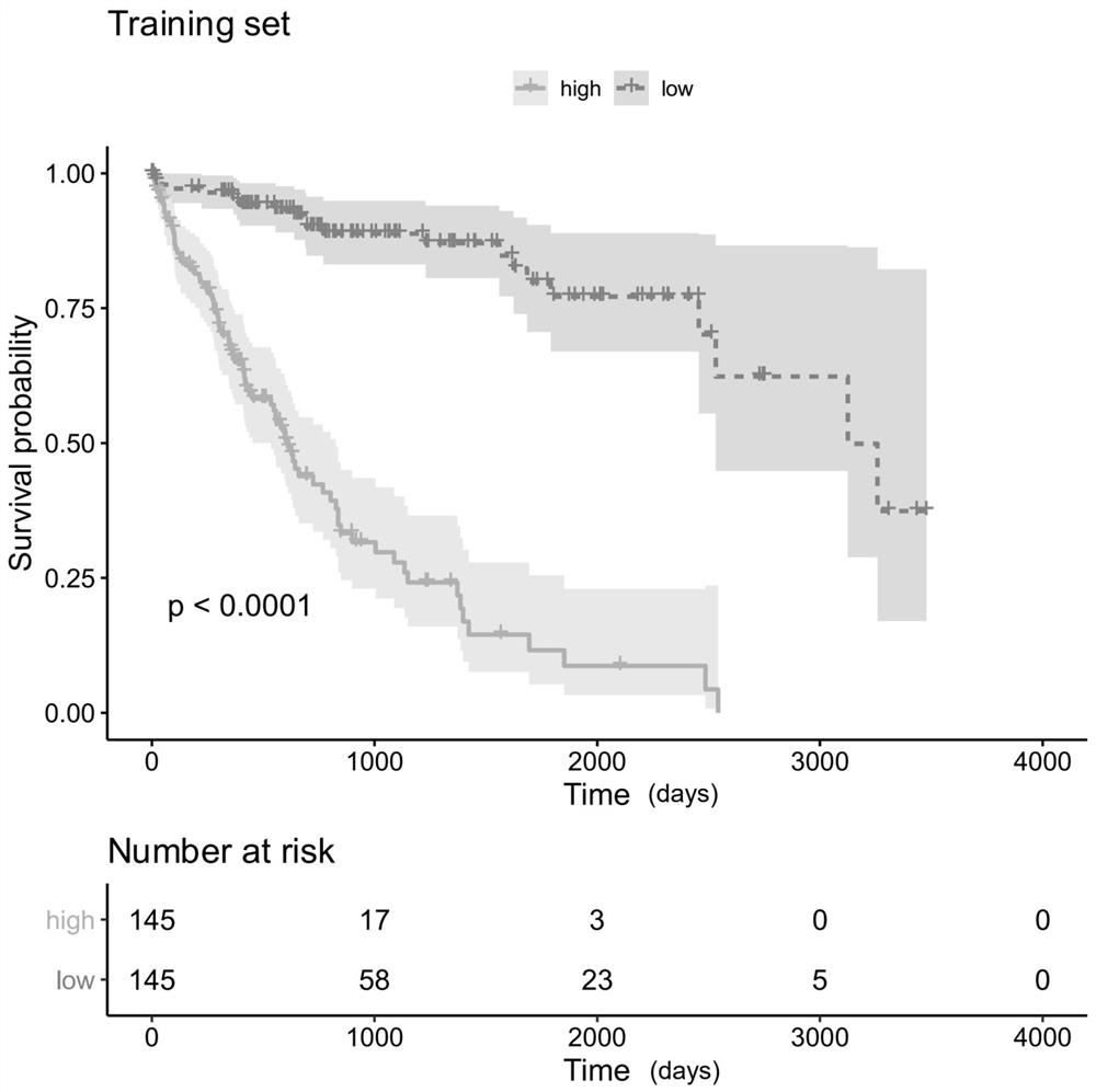 Assessment gene set and kit for predicting prognosis of liver cancer