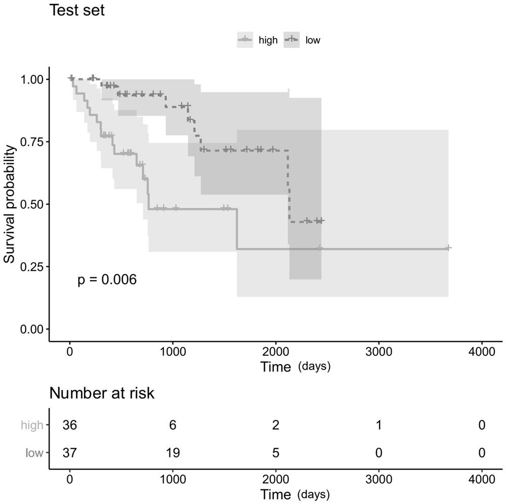 Assessment gene set and kit for predicting prognosis of liver cancer