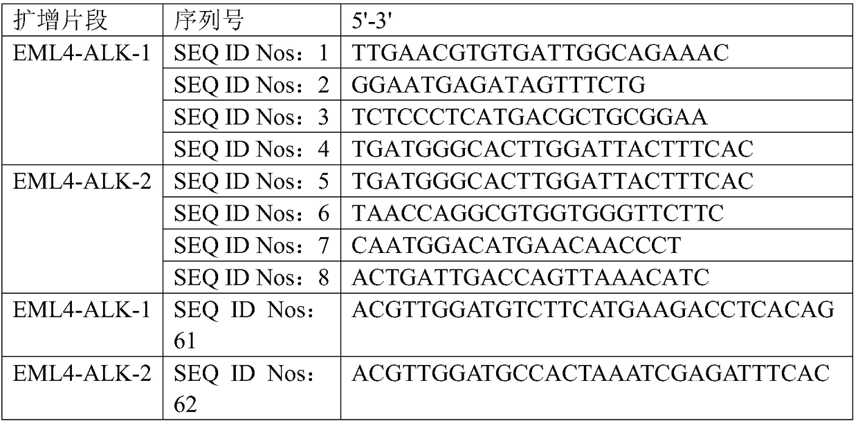 Detection method and detection kit for EML4-ALK fusion gene