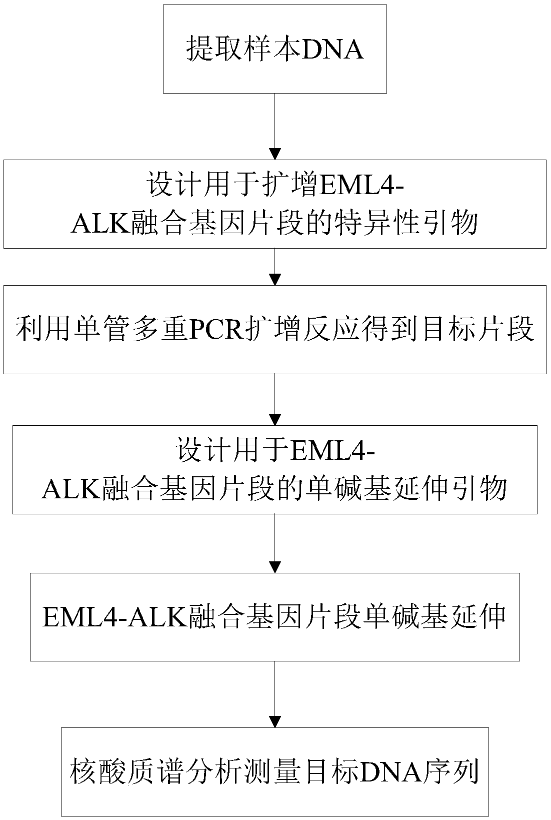 Detection method and detection kit for EML4-ALK fusion gene