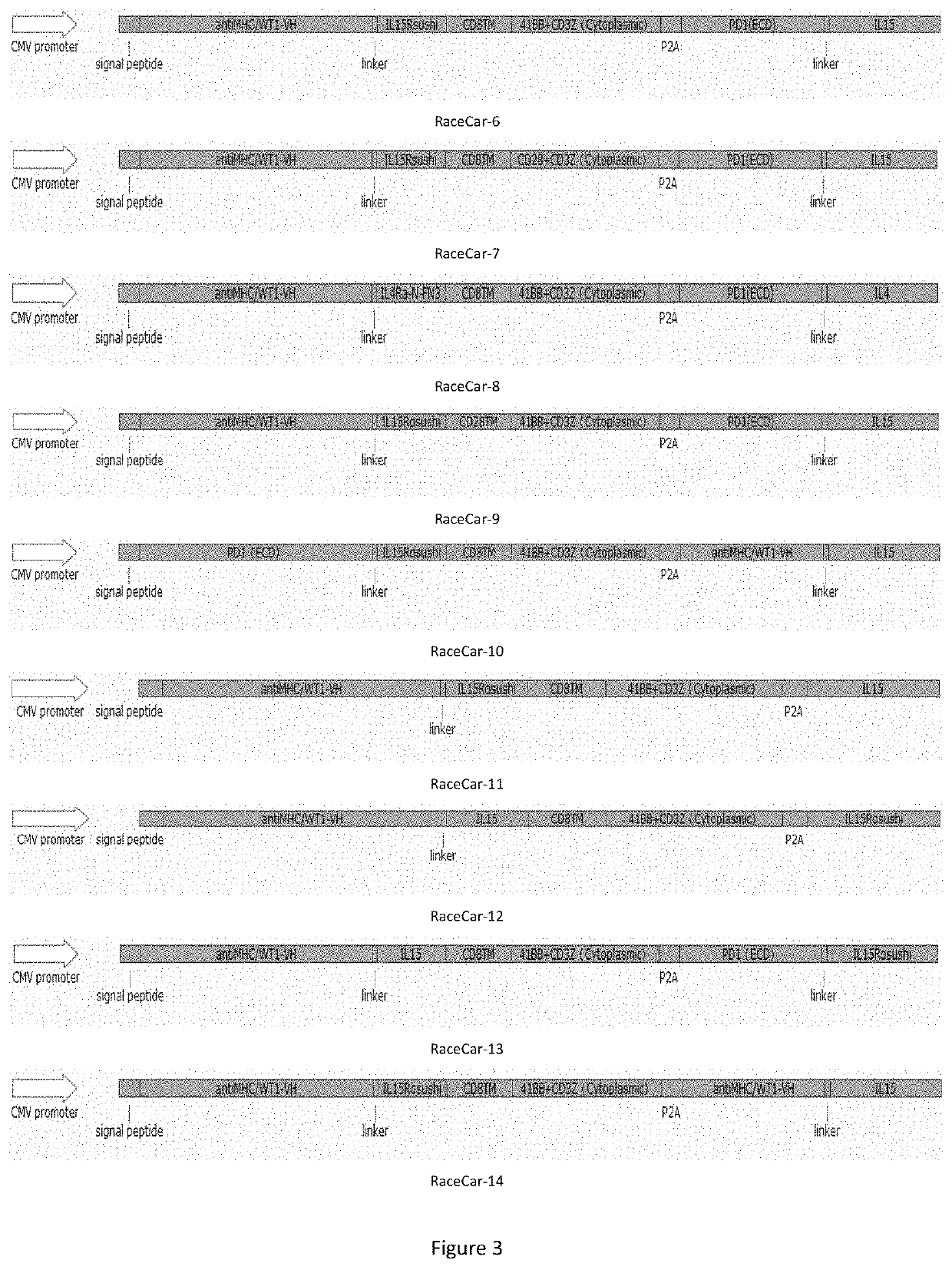 Multi-target chimeric antigen receptor