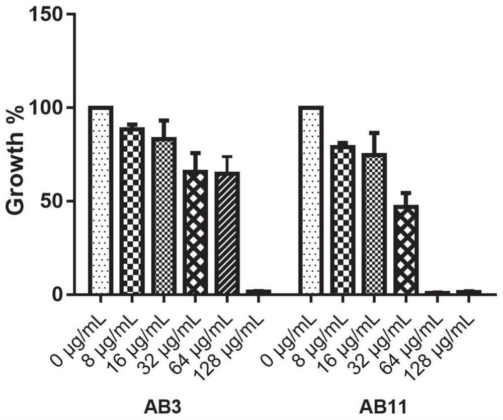 Application of benserazide as antibacterial agent