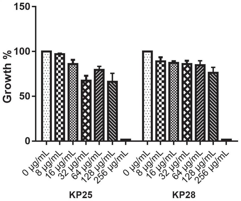 Application of benserazide as antibacterial agent