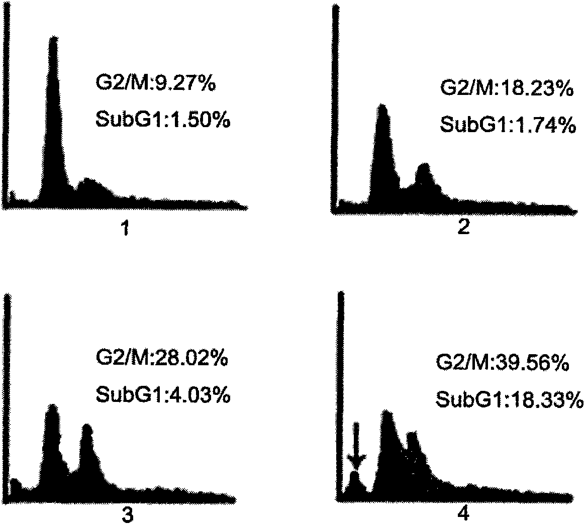 Locked nucleic acid ribozyme of targeted serine-threonine protein kinase aurora kinase A and application thereof