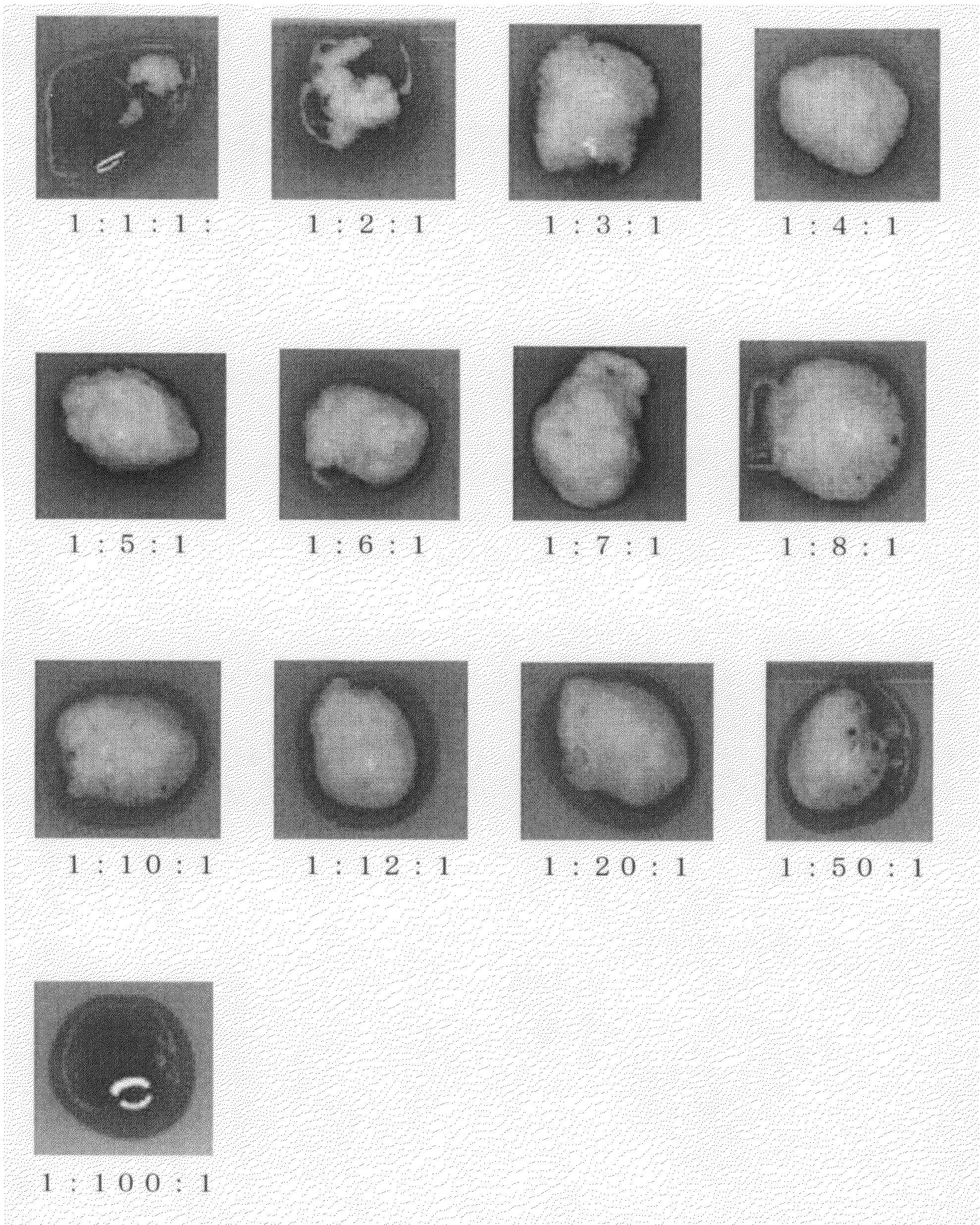 Method of preparing cell for bone tissue formation and application of cell for bone tissue formation