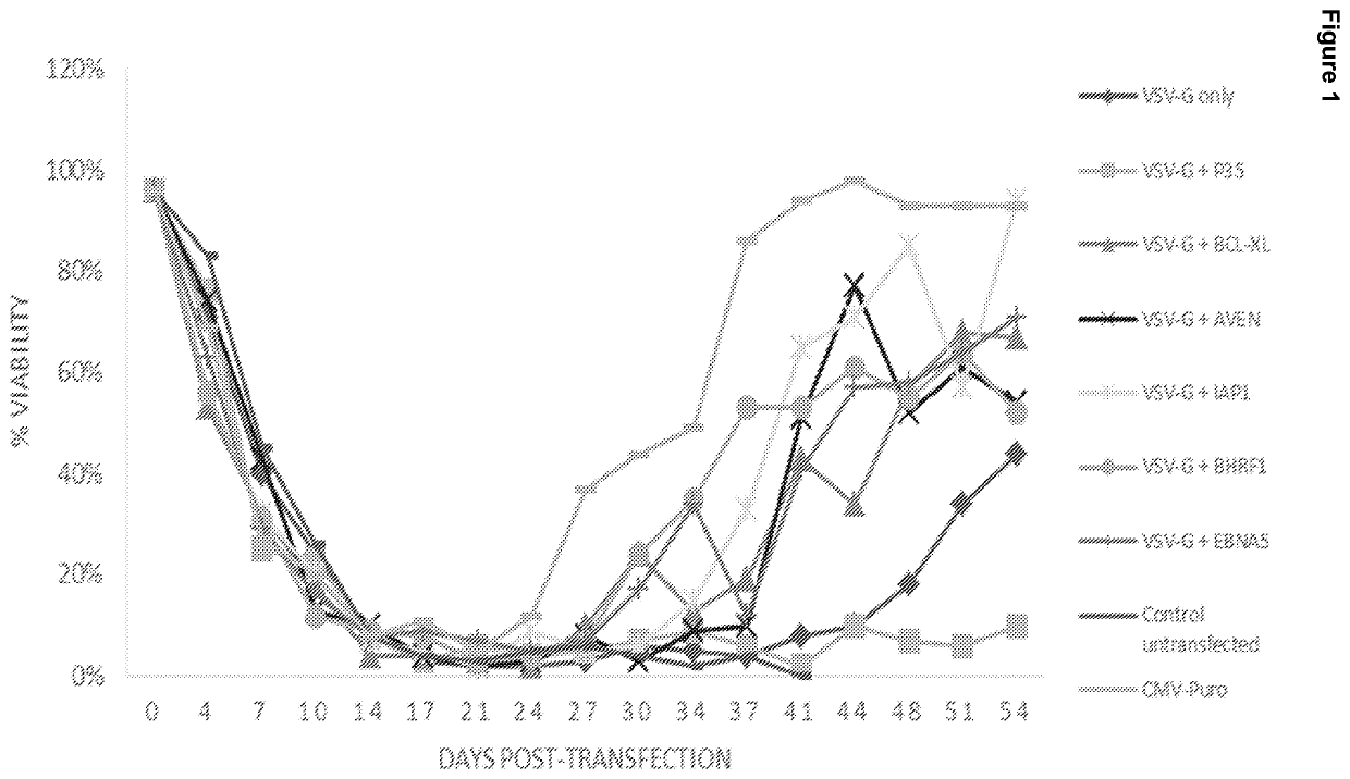 Retroviral vectors