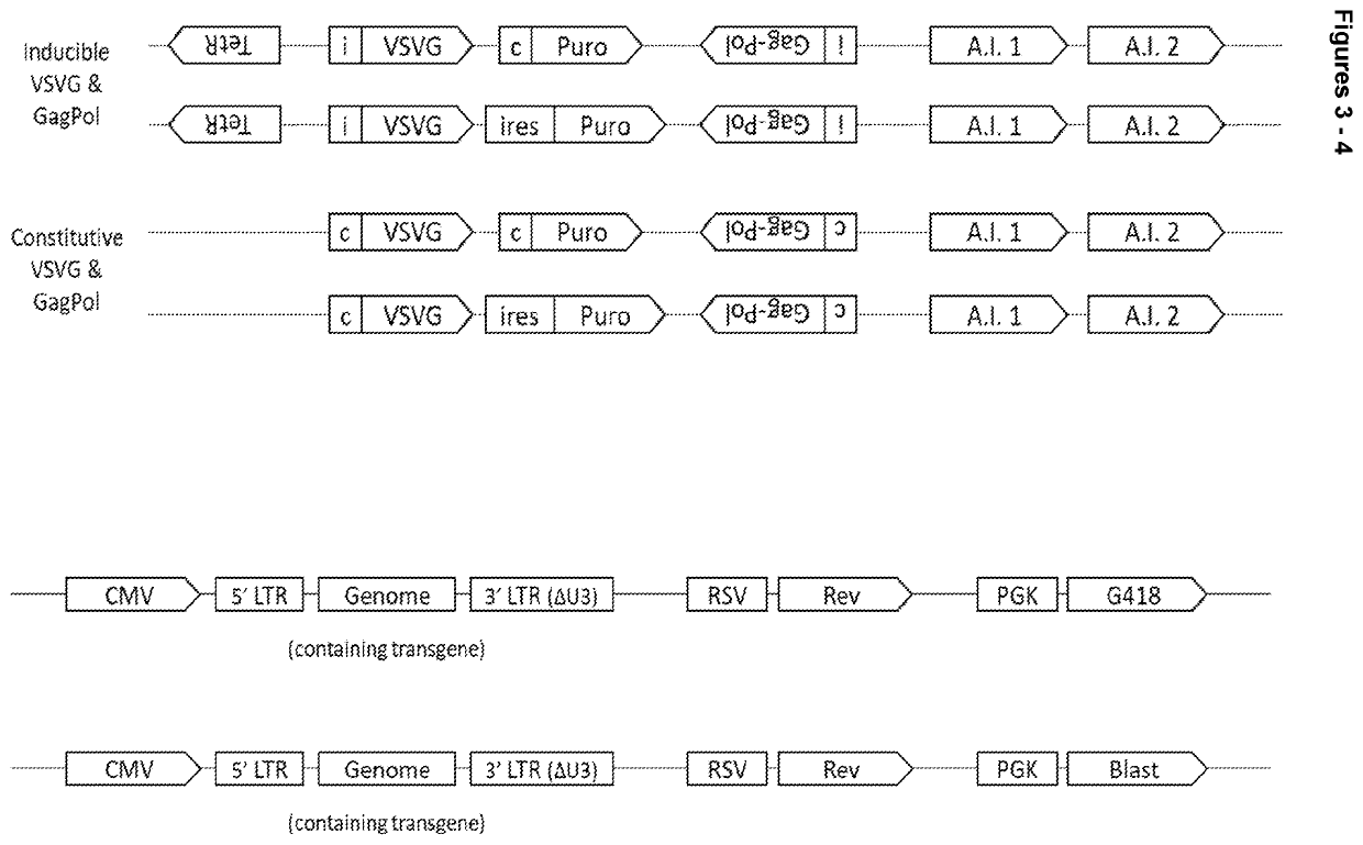 Retroviral vectors