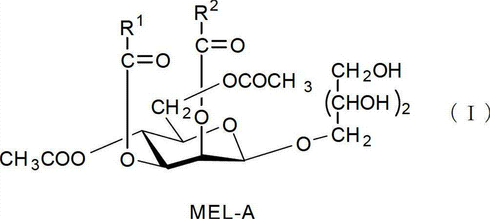 Oil-in-water type emulsion composition