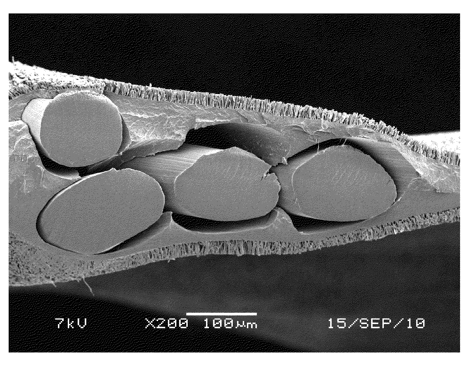 Adhesive structure with stiff protrusions on adhesive surface