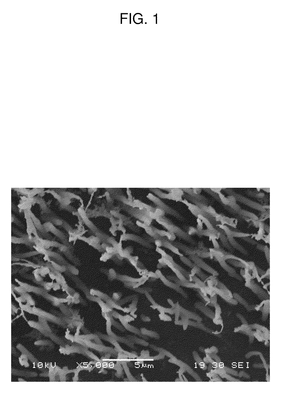 Adhesive structure with stiff protrusions on adhesive surface