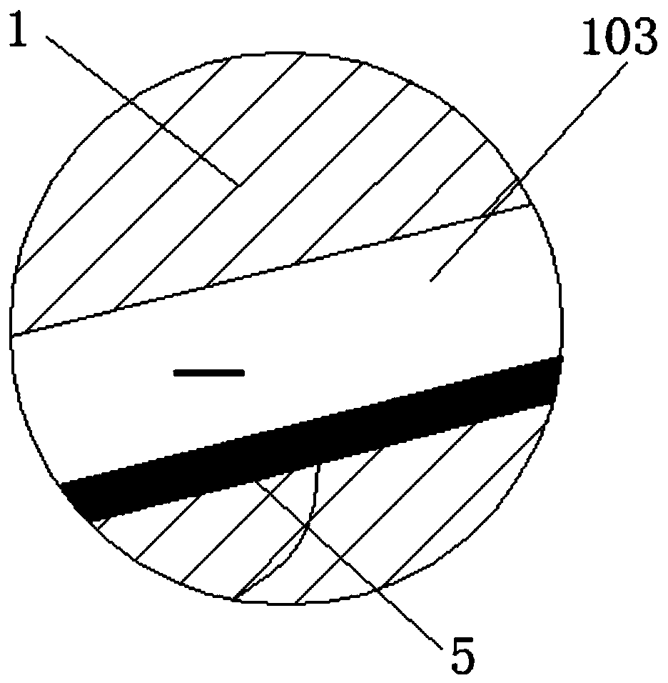 Biological research auxiliary device for catching insects and screening size of wings