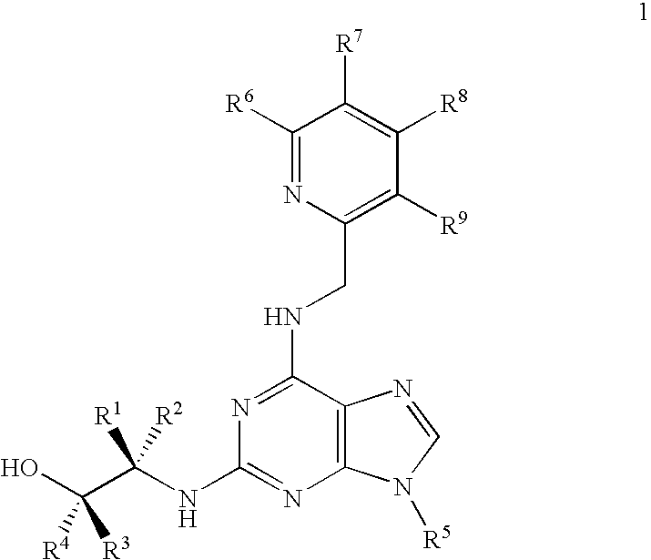 New purine derivatives