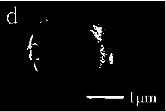 Bipolar membrane using zinc-metal organic framework material as middle interface layer and preparation method thereof