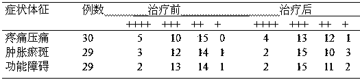 Hongyao Babu plaster and preparation method thereof