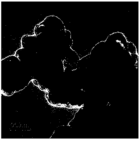 Carbon-coated vanadium dioxide nanoparticles and preparation method thereof