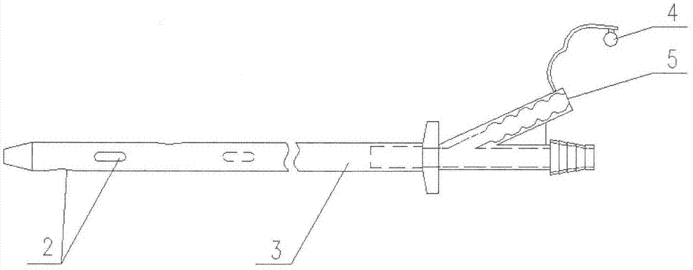 A kind of pleural drainage catheter