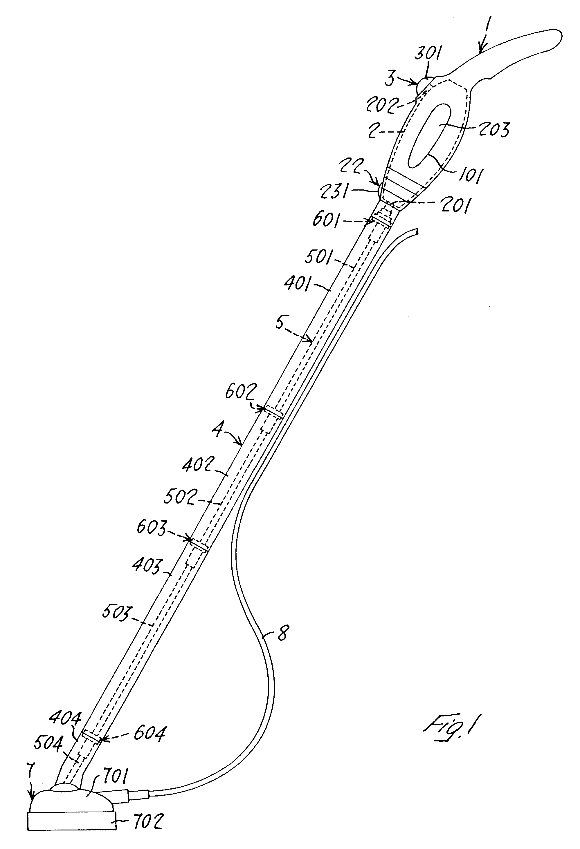 Steam cleaning apparatus