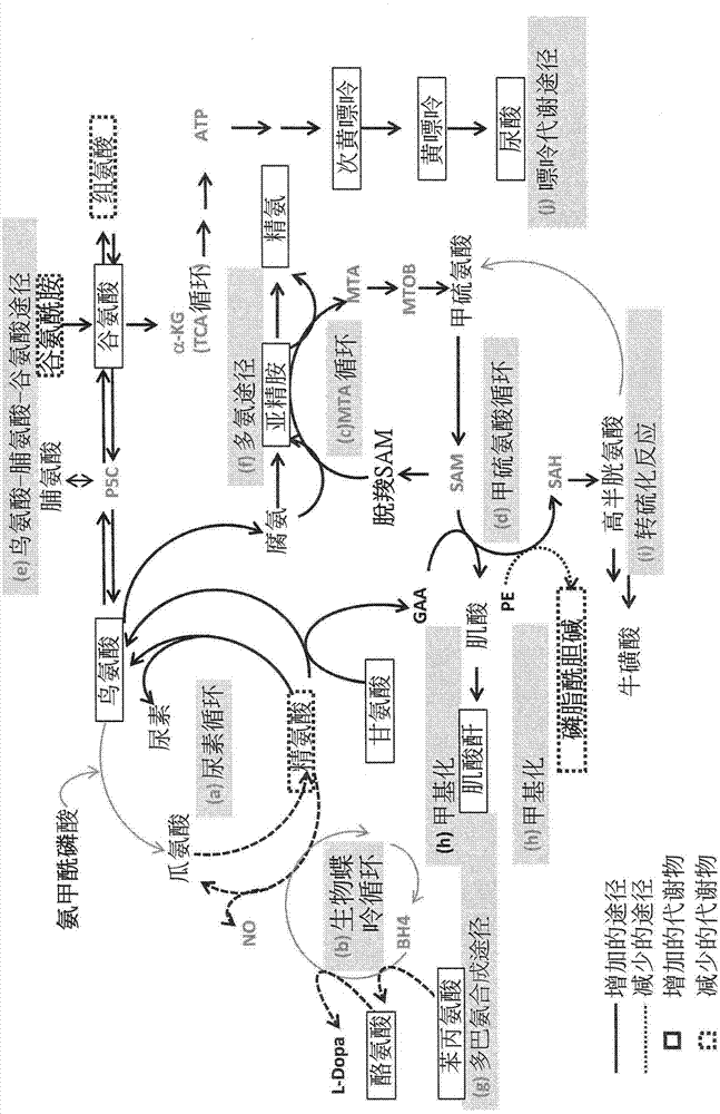 Use of biomarker in preparation of heart failure diagnosis composition and diagnosis device