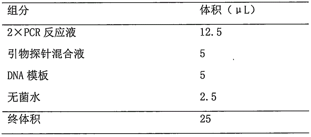 BRAF gene mutation detection kit and application thereof