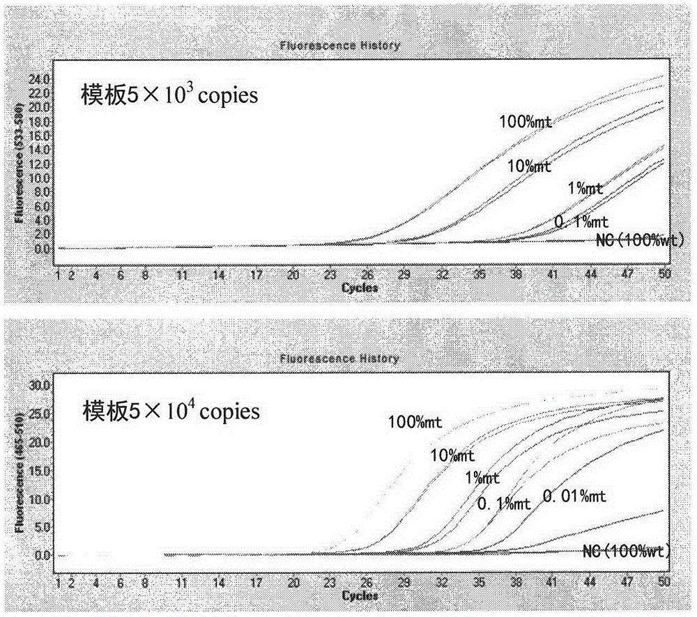 BRAF gene mutation detection kit and application thereof