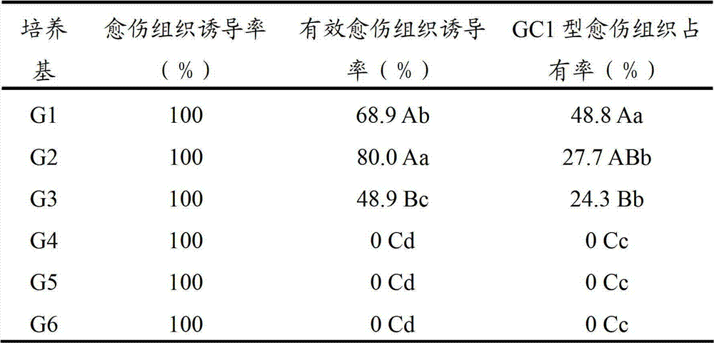 Method for rapidly obtaining loose calluses of grapes and for long-term succeeding maintenance of grapes