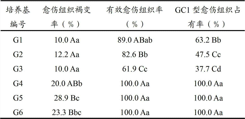 Method for rapidly obtaining loose calluses of grapes and for long-term succeeding maintenance of grapes